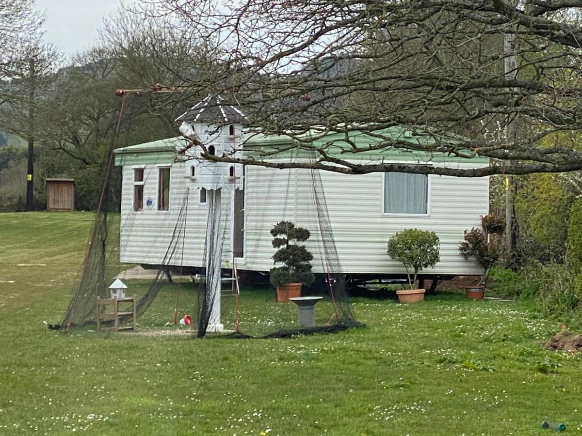 The Nest - Family Friendly Caravan Nr Glastonbury & Street Somerton  Bagian luar foto